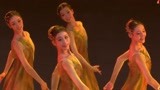 2023央视春晚 辽宁芭蕾舞团舞蹈《我们的田野》