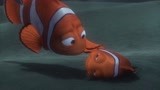 《海底总动员》小丑鱼父子带领鱼群逃难 尼莫被渔网狠狠压住
