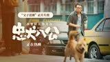 中国版《忠犬八公》片段曝光 “父子送别”呈现中国式深沉爱意