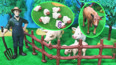 认识黄牛绵羊和猪猪 沉浸式参观玩具农场