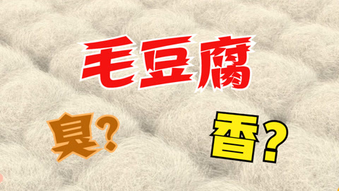 闻着臭吃着香｜毛豆腐是怎么做出来的？【斑马百科动画】