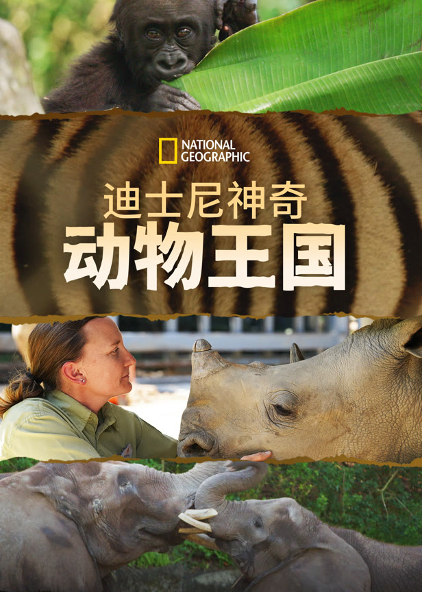 迪士尼神奇动物王国第二季