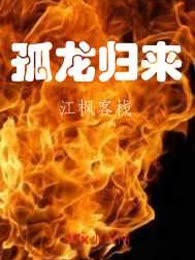 孤龙归来