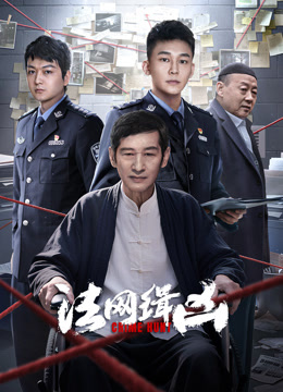 法网缉凶