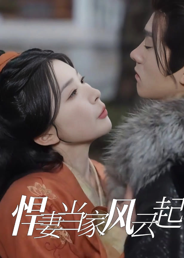 悍妻当家风云起