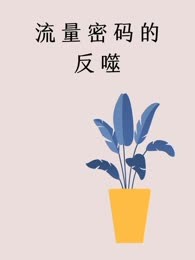 流量密码的反噬