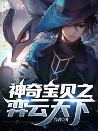 神奇宝贝之奕云天下