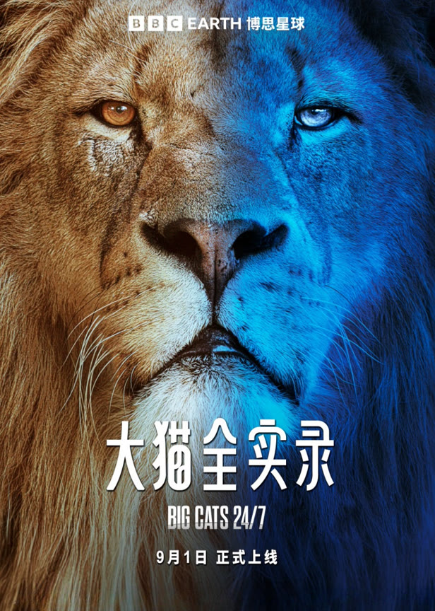 大猫全实录中文版