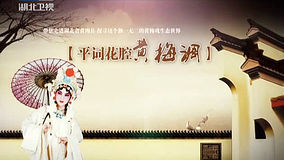 線上看 中國No.1 之平詞黃腔黃梅調 (2012) 帶字幕 中文配音，國語版