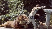 美国女明星家庭养狮子当宠物 与其同居五年