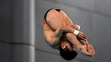 全国跳水冠军赛选手失准 杨健男子十米跳台夺冠