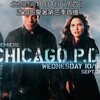芝加哥警署第3季