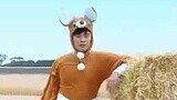 《奔跑吧兄弟3》陈赫惹怒大黑牛被“暴揍