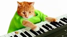 Wonderful Pistachios创意广告 猫咪弹琴卖萌