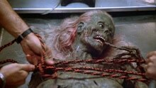線上看 《活死人歸來》首次回答了“僵屍為啥吃腦子”的神片 (1985) 帶字幕 中文配音，國語版