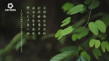 中国气象频道 二十四节气之芒种