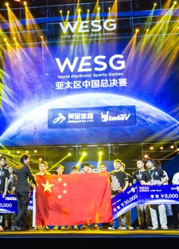 WESG2017中国总决赛