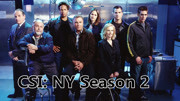 犯罪现场调查：纽约第2季