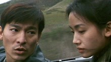 線上看 大冒險家1995 (1995) 帶字幕 中文配音，國語版