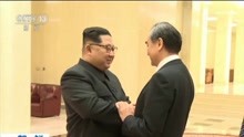 朝鲜最高领导人 金正恩会见王毅