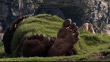 圆梦巨人（片段）吃人巨人被丢在荒岛上与世隔绝
