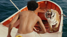 男孩与老虎同坐一条船，在海上漂流两个月，最终回到了陆地上