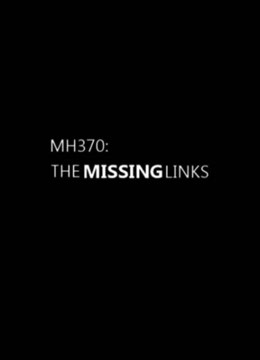 MH370航班失踪疑云