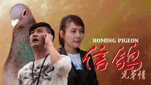 watch the latest Homing Pigeon (2018) with English subtitle English Subtitle
