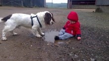狗狗和宝宝玩泥巴
