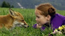 10岁小女孩和一只狐狸的故事，这部电影教会孩子，爱和占有的区别