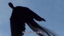 有人拍到远古凤凰，经专家证实：最后一只远古黑凤凰！