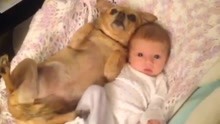 宝宝和狗狗一起睡觉打架