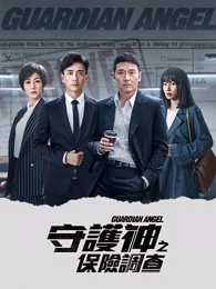 守護神之保險調查 电视剧 全集高清正版视频在线观看 爱奇艺