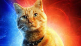 《惊奇队长》罗南人物图被橘猫取代，是不重要还是漫威故弄玄虚？