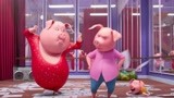 亮片紧身衣跳舞猪猪！你的猪年好伴侣！