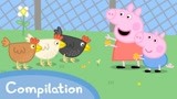 开心母鸡 08期 小猪佩奇新表情-游戏 快乐鸡的鸡舍