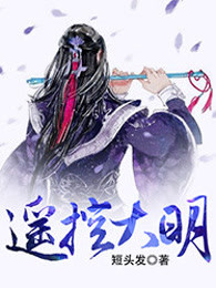 遥控大明
