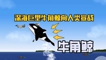 美味汪洋：巨型牛角鲸吃掉海洋美食后跳出海面，把战斗机一口吞下