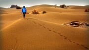 我國在塔克拉瑪乾沙漠投資億元，種植大量植物，現在成了什麼樣？