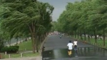 北京多区升级发布大风黄色预警 阵风超9级