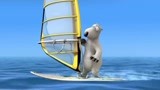 倒霉熊玩帆船 别说玩得还有模有样的