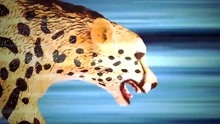v_132807122_m_601_220_124.jpg