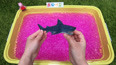 带你认识海洋里的大虎鲨玩具