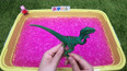 带你认识侏罗纪的迅猛龙玩具模型