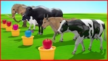 奶牛公牛水牛大象动物吃水果儿童认识颜色