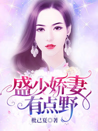 盛少娇妻有点野