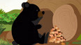 你知道为什么黑熊冬眠产崽吗