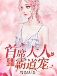 名门娇妻：首席大人霸道宠