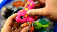 学习认识海洋里的粉色海豚玩具