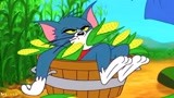 猫和老鼠搞笑配音 玉米桶中钻出一个汤姆猫